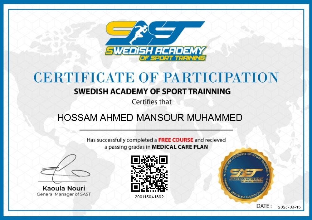 Hossam Ahmed Mansour Muhammed